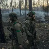 Бойцы Азова выбили россиян из Серебрянского леса на Луганщине