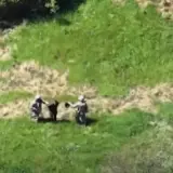 Украинские морпехи пополнили обменный фонд
