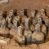 В подвале дома Джлджа Вашингтона нашли фрукты 250-летней давности