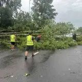 Сильный ливень повалил около 100 деревьев во Львове