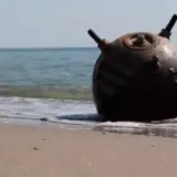 Країни НАТО почали розміновувати Чорне море