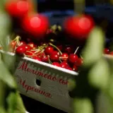 Росія надала український географічний бренд Мелітоопольська черешня