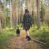 Прогулянка на природі – чим корисна для здоров’я