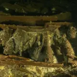 На затонувшем судне в Балтийском море обнаружено огромное количество шампанского