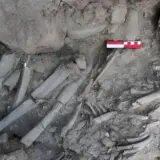 Археологи нашли в Турции гробницу древней шаманки