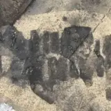 Слов’янське поселення знайдено у Німеччині