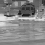 Бойцы ГУР подстрелили еще одного Тунца