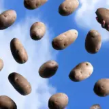 Печеный картофель — чем полезен для здоровья