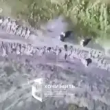 Бої в Курській області – понад сто російських солдатів добровільно склали зброю