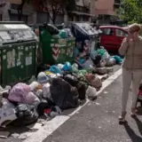 В Риме отлично себя чувствуют змеи, крысы и восточные шершни