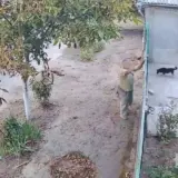 Мужчина устроил стрельбу в Одесской области