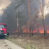 Масштабный лесной пожар бушует в Донецкой области