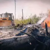 Масштабный пожар бушует в Чернобыльский зоне