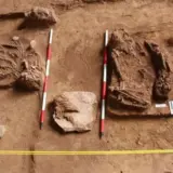 Доисторические захоронения найдены в Малайзии- фото