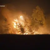 Масштабный пожар бушует на Донбассе