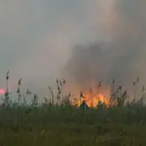 Масштабный пожар бушует на Полтавщине