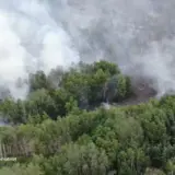 На Полтавщині продовжує вирувати масштабна пожежа