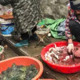 Изначальный источник COVID-19 был на рынке в китайской Ухани