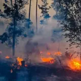 Качество воздуха ухудшилось в Киевской области
