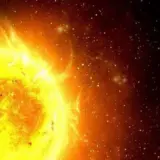 Жизнь растений на Земле продлится еще до 1,86 миллиарда лет
