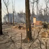 Пожар в Харьковской области – лесной пожар уничтожил поселок Пески-Радьковские