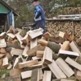Шмигаль прокоментував скандальний закон про дрова