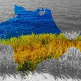 США не сприятимуть поверненню Україні Криму – радник Трампа Брайан Ланза