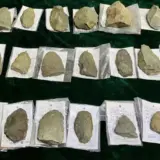 Артефакты эпохи неолита найдены в Китае