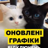 Відключення світла в Україні – у Києві, Київській та Дніпропетровській областях адаптували графіки відключення світла