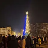 В Киеве установят главную елку Украины