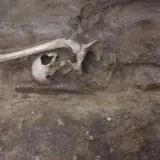 Неолитическая гробница найдена во Франции