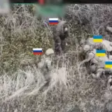 Розстріл українських полонених – окупанти розстріляли українських військовополонених у Запорізькій області