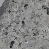 Окаменелые следы возрастом в 1,5 миллиона лет найдены в Кении