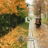 Погода в Києві – температура в листопаді була вищою за кліматичну норму