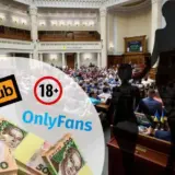 Декриминализация порно – комитет Рады поддержал за основу законопроект № 12191 о декриминализации порно