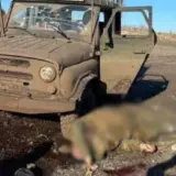 Сили оборони ліквідували російських офіцерів у Запорізькій області