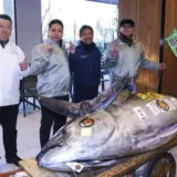 Мільйон за тунця – хто і чому купив тунця за 1,3 млн. доларів