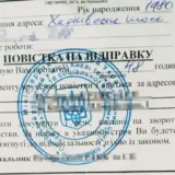 Возвращение украинцев – украинцев за границей хотят завлечь в оборонку броней от мобилизации