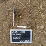 У Люксембурзі знайдено 141 римську золоту монету