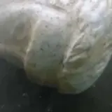 Стародавню статую з мармуру знайдено на дні італійського озера