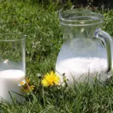 Молоко – обнаружены противораковые свойстваа продукта