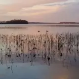 Знайдено бактерії, що знаходяться в еволюційній петлі часу