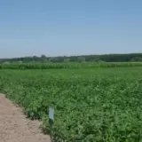 В НААН нашли нарушений на миллиард гривен