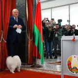 Псевдовыборы в Беларуси – что устроил Лукашенко