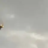 ЗСУ 8 лютого знищили російський Су-25 на торецькому напрямку