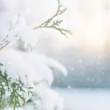 Погода в Украине на выходных – 15 и 16 февраля Укргидрометцентр снегопады и морозы