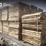 На Київщині припинили контрабанду лісоматеріалів