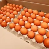 В Україні очікується короткострокове зростання цін на яйця