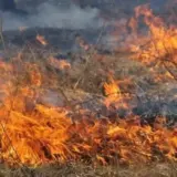 Пожар на Львовщие – в селе Подборцы зафиксировали большой пожар сухой травы