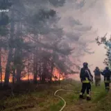 Пожар в Харьковской области – в области бушует масштабный пожар